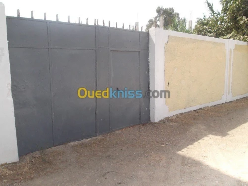 Vente Terrain Tipaza Attatba