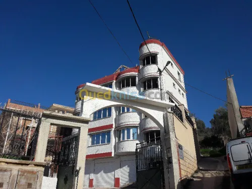 Ravalement de Façade