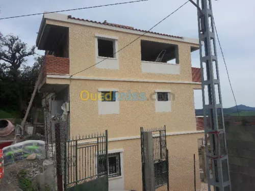 Ravalement de Façade