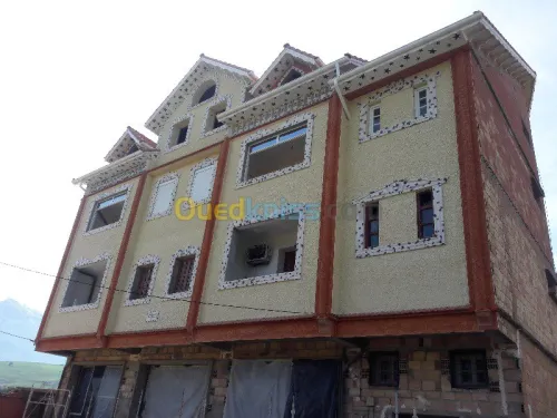 Ravalement de Façade