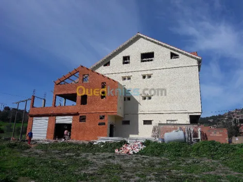 Ravalement de Façade