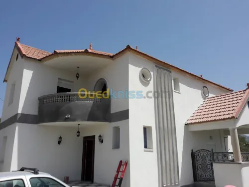 Ravalement de Façade