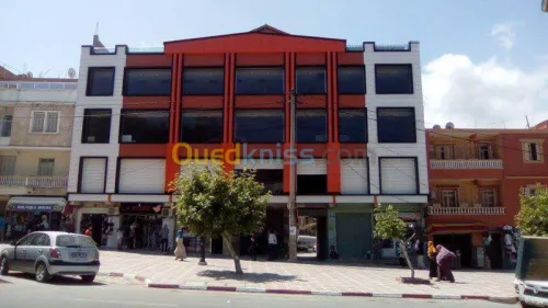 Ravalement de Façade