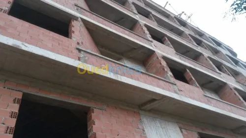 Location Immeuble Alger Staoueli