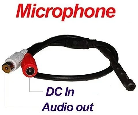 Microphone  camera surveillance