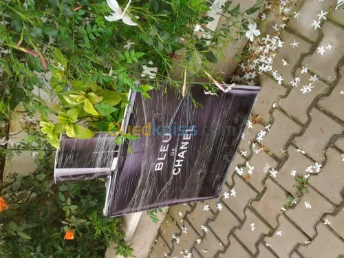 Communication Global