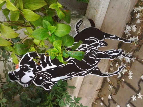 Communication Global