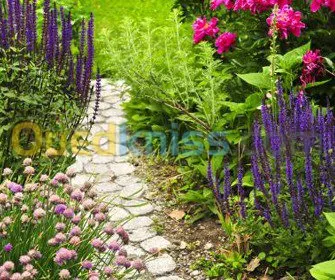 Amenagement epaces verts et decoration