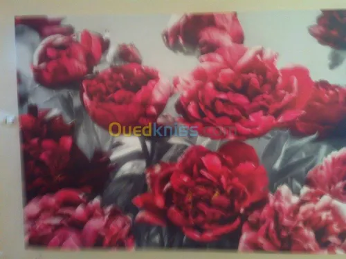 Pose tous types papier peint