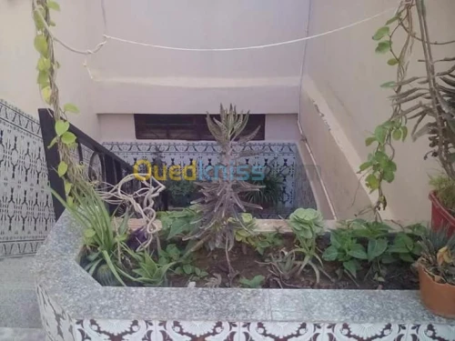 Vente Villa Tebessa Bir el ater