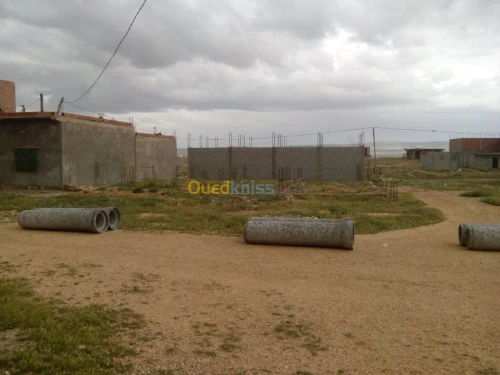 Vente Terrain Khenchela El mahmal