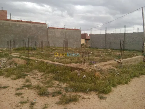 Vente Terrain Khenchela El mahmal