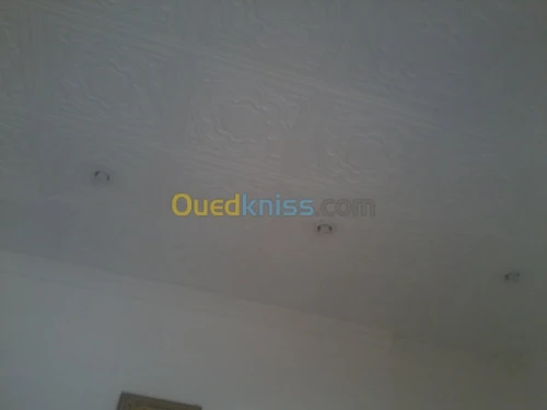 Location Local Alger Draria