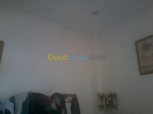 Location Local Alger Draria