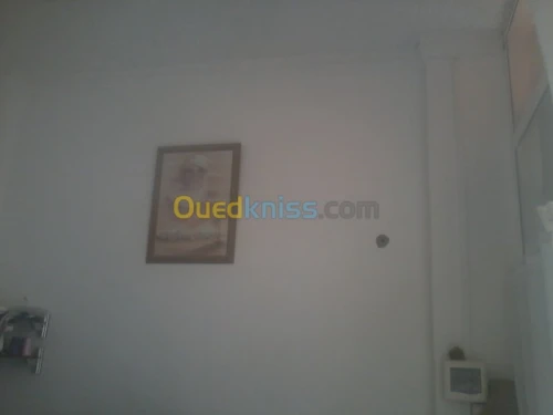 Location Local Alger Draria