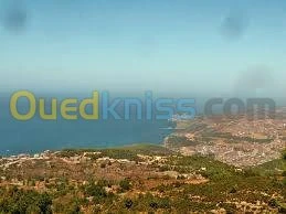 Vente Terrain Tlemcen Honaine