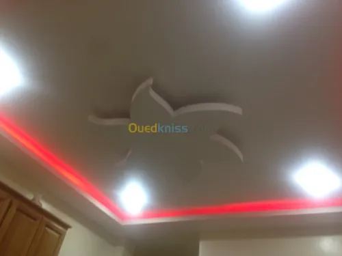 PVC, Démontable,Aluminium,Placo Plâtre