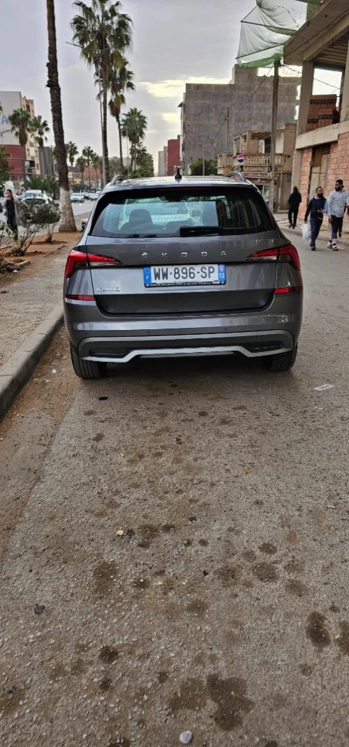 Skoda Kamiq 2023 Ambitions
