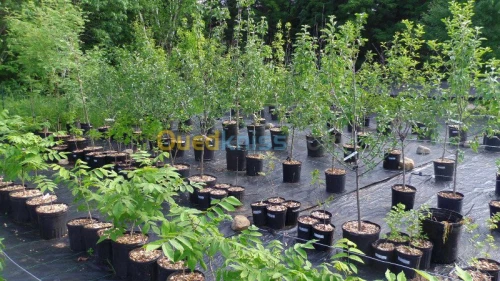 Aménagement espace vert