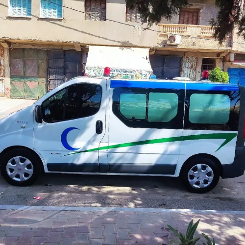 Renault trafic Trafic 2015