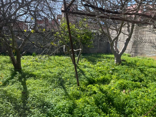 Vente Terrain Boumerdès Ouled moussa
