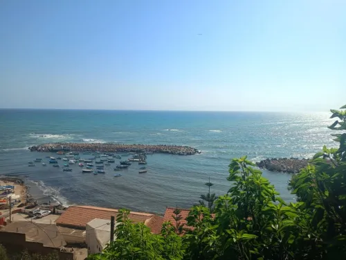 Vente Appartement Studio F2 F3 Alger Dar el beida