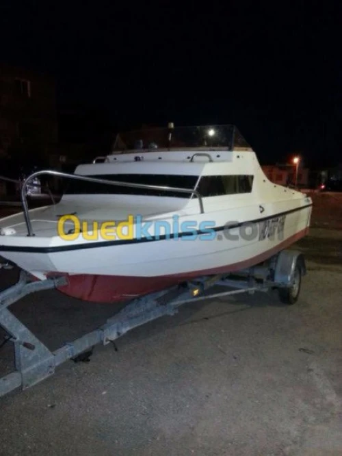 cormorant striper 460 1981