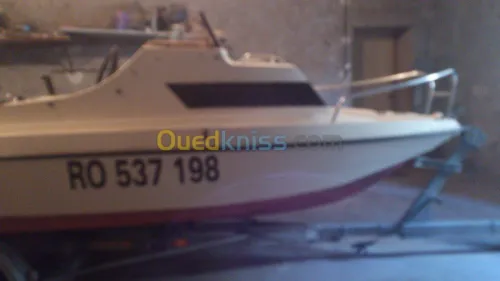 cormorant striper 460 1981
