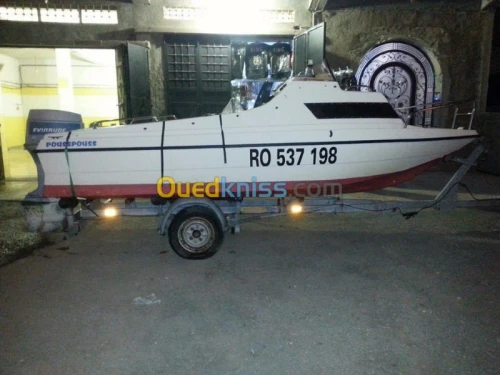 cormorant striper 460 1981
