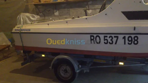 cormorant striper 460 1981