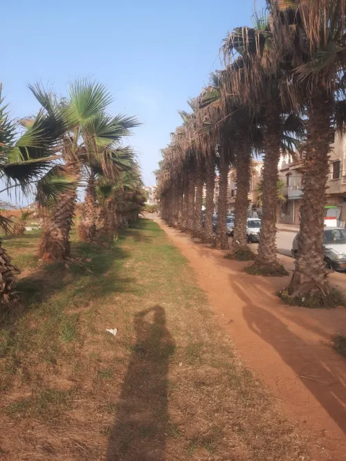 Vente Villa Alger Ain taya