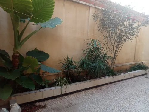 Vente Villa Alger Ain taya