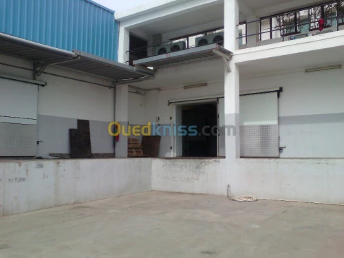 Location chambre froide 