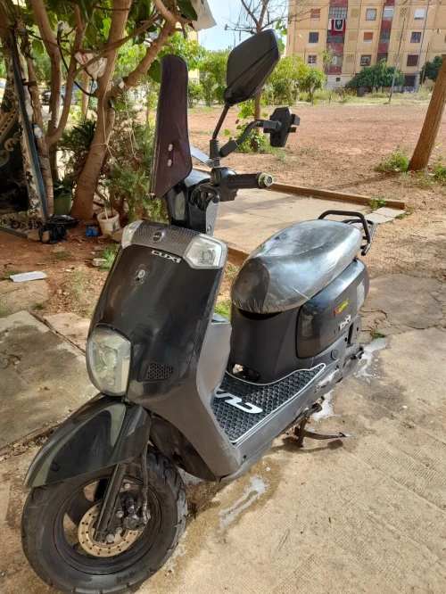 Vms Cuxi 1 2020