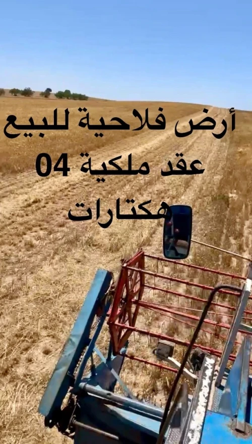 Vente Terrain Agricole Aïn Témouchent Hammam bouhadjar