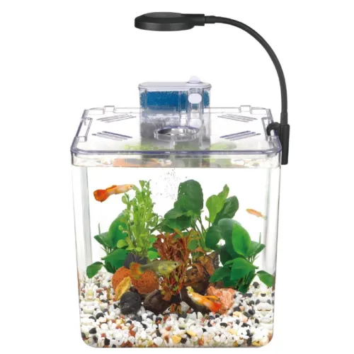 Mini Aquarium Nanbor  Système de Filtrage et Éclairage LED