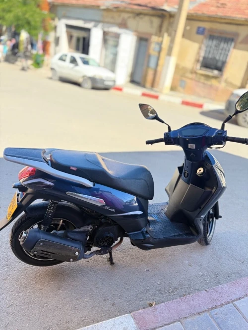 Vms Twster flash 2024