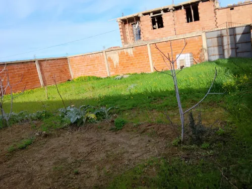Vente Terrain Blida Ouled selama