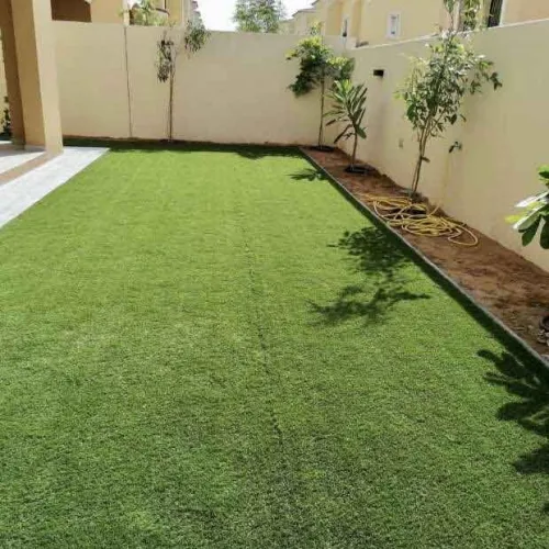Entretien jardin / Débroussaillage Nettoyage des espaces verts (Alger & Blida)