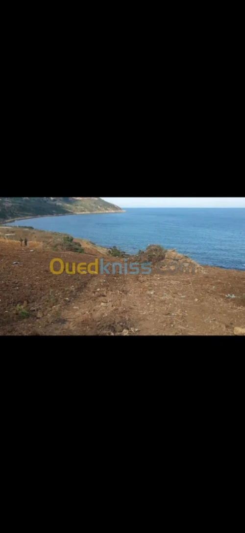Vente Terrain Tizi Ouzou Azeffoun