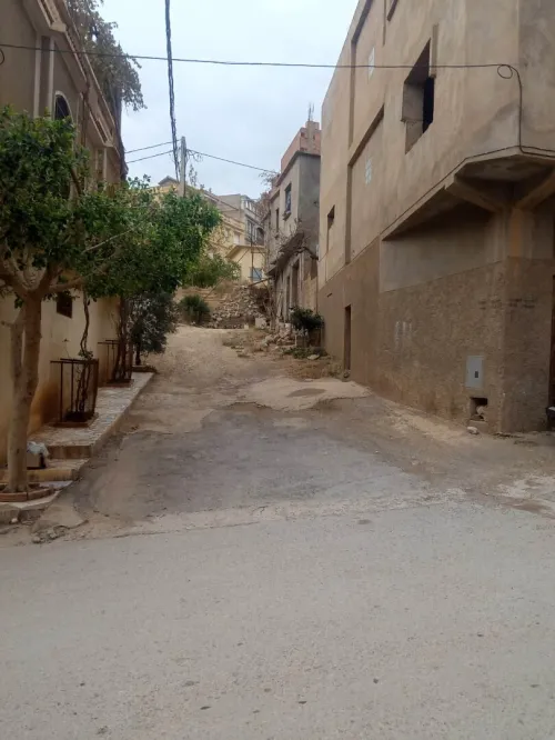 Vente Terrain Tlemcen Mansourah