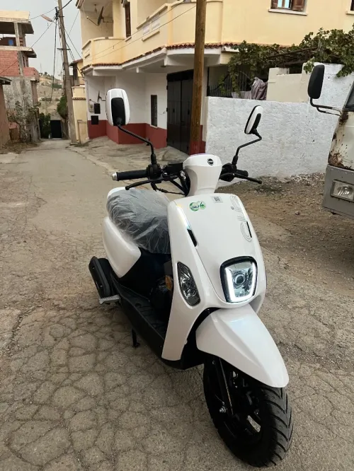 VMS Cuxi 2 2025