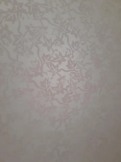 peintre professionnel