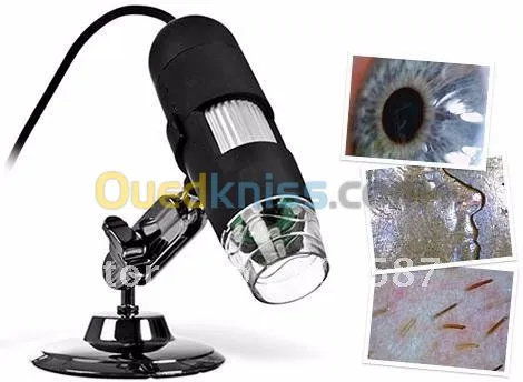 loupes  professionel