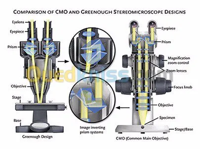 loupes  professionel