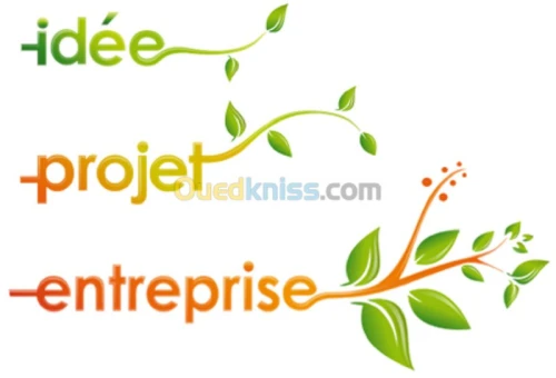  Création d'entreprise