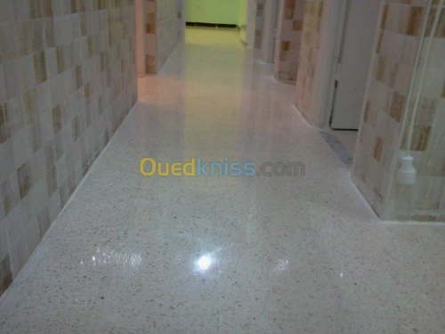 SAFA PONCAGE ET CARLAGE ET PIENTUR DEC