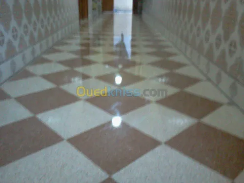 SAFA PONCAGE ET CARLAGE ET PIENTUR DEC