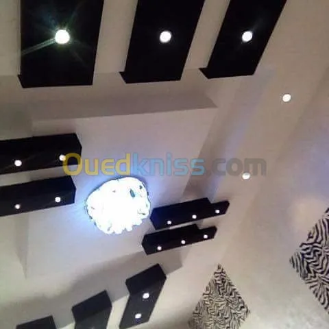 Faux plafond placoplatre. Aluminium Cl
