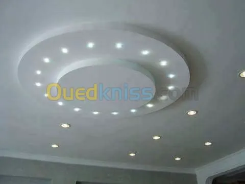 Faux plafond placoplatre. Aluminium Cl